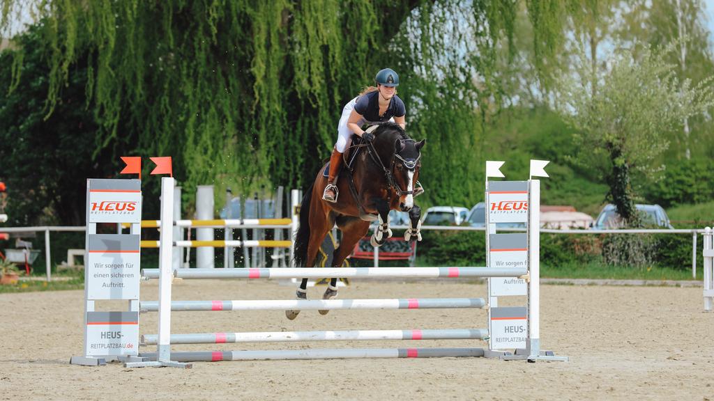 Preview DHM Reiten