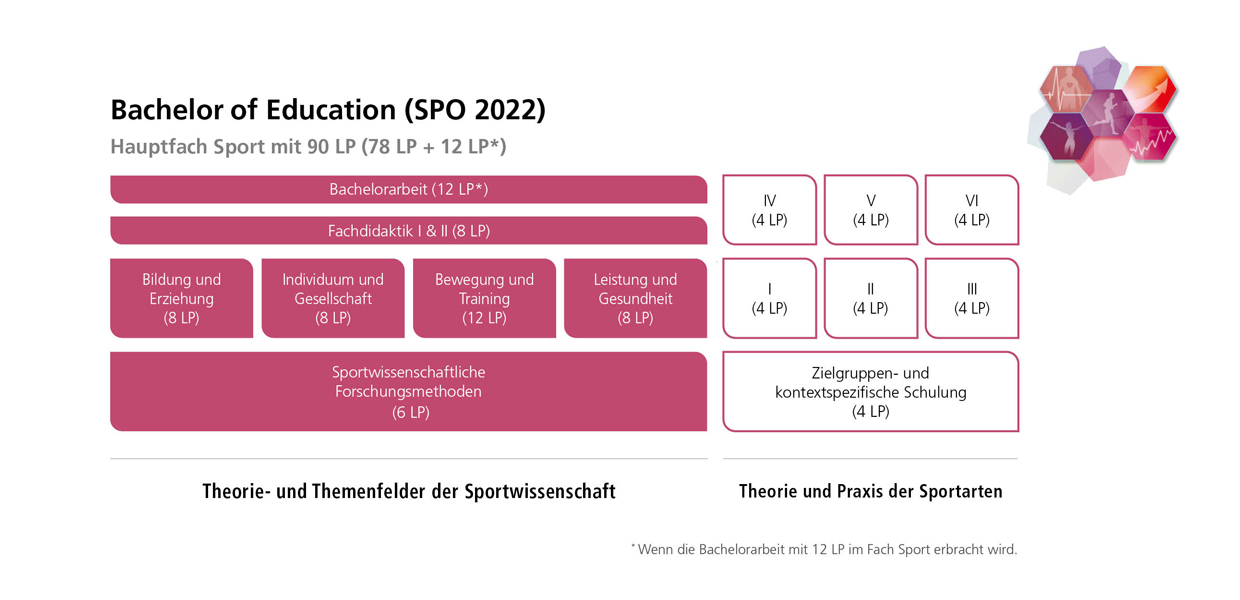 B_Ed_Ueberblick_Hauptfach.jpg