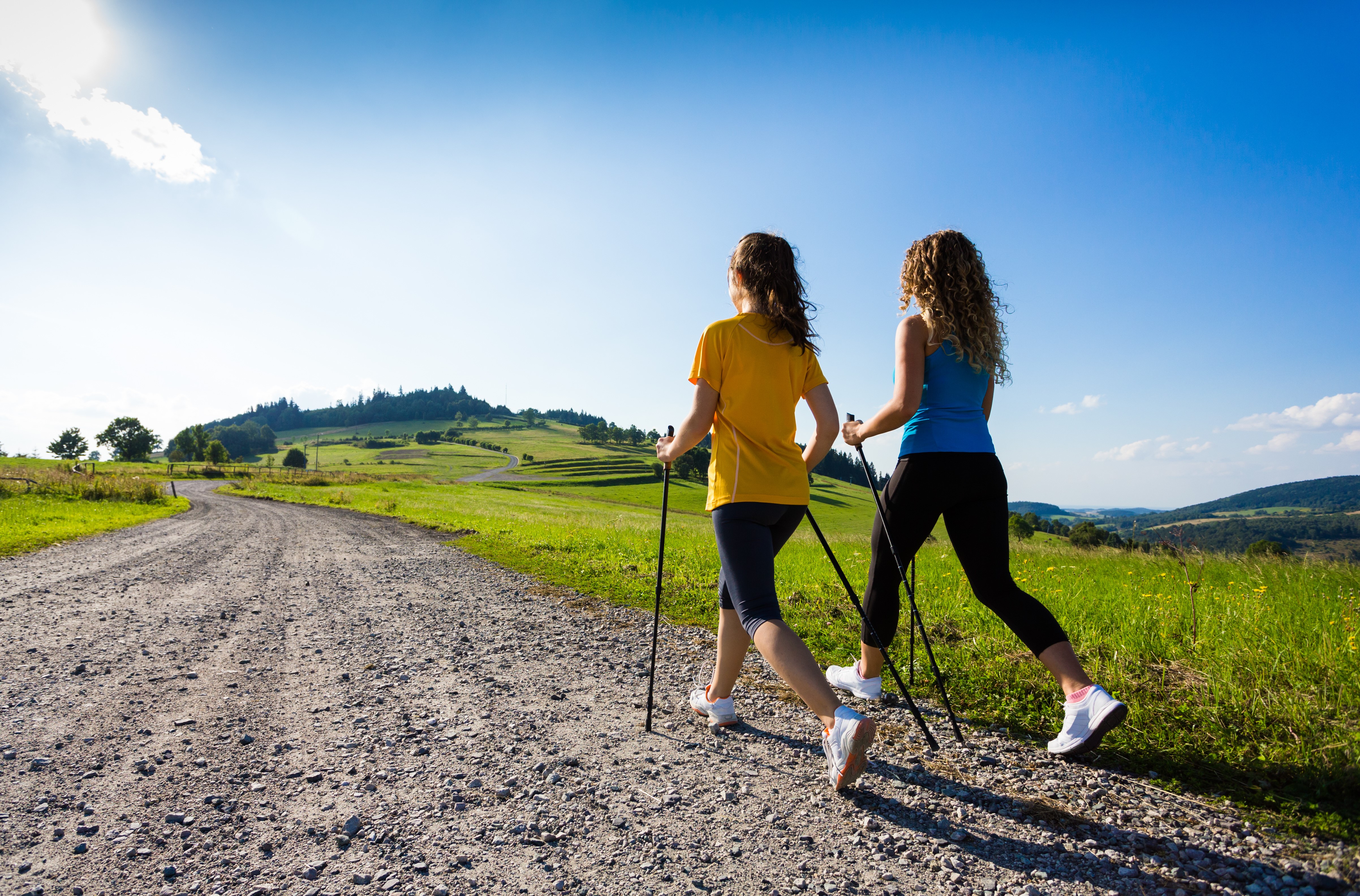 Walking Ausbildung