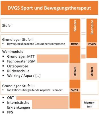 DVGS Sport- und Bewegungstherapeut